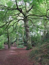 Ellesmere, Shropshire